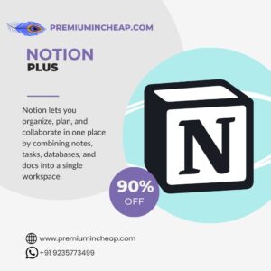 notion plus premium in cheap