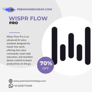 Wispr Flow Pro in cheap